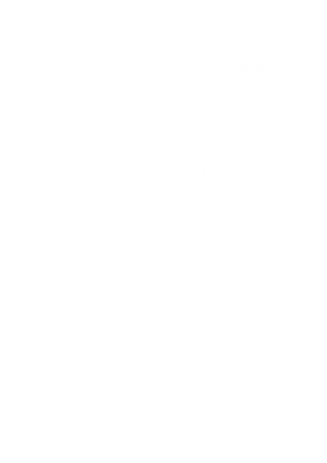 parapente